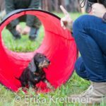 Hundeschule-0365-150x150