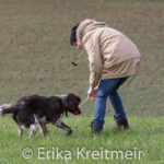 Hundeschule-4287-150x150