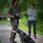 Hundeschule-8230-150x150