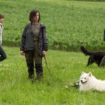 Hundeschule-8386-150x150